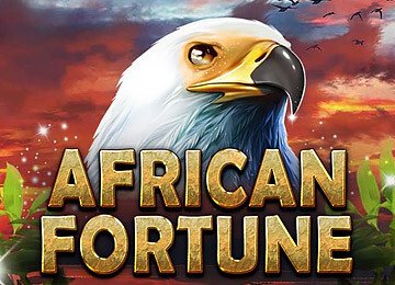 African Fortune
